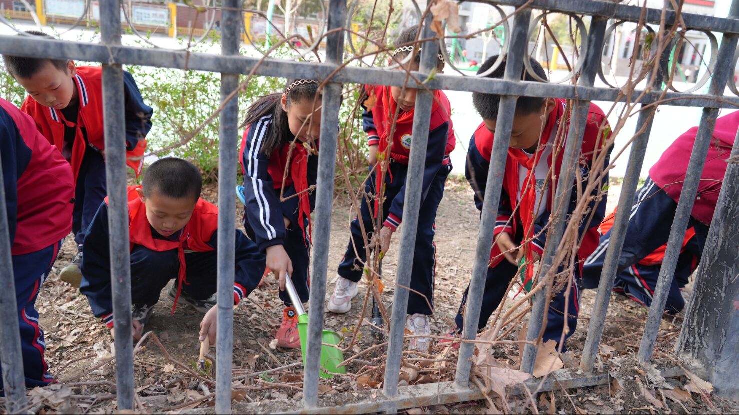 Image_1775271572990_925