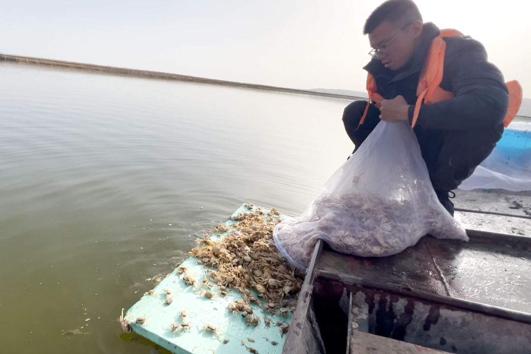 mmexport1775376367069