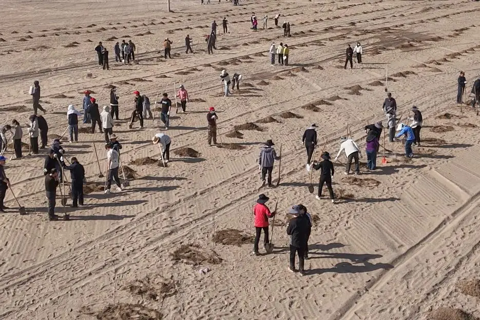 mmexport1775358735311