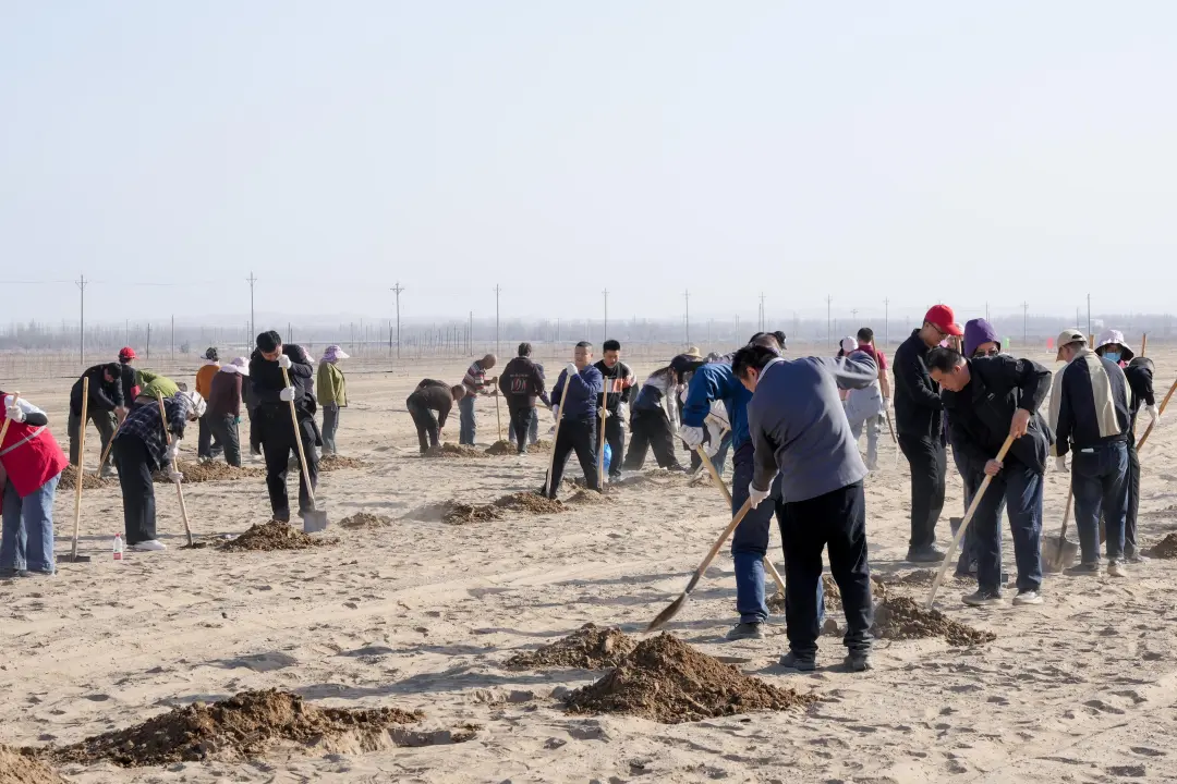 mmexport1775358739992