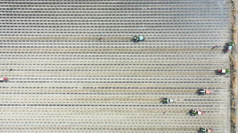 mmexport1775727986450