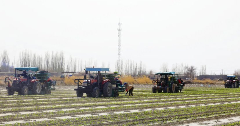 mmexport1775728001166