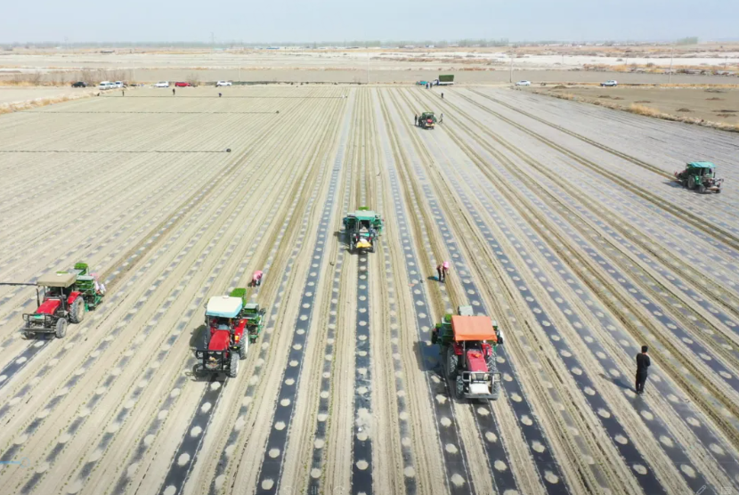 mmexport1775728005226