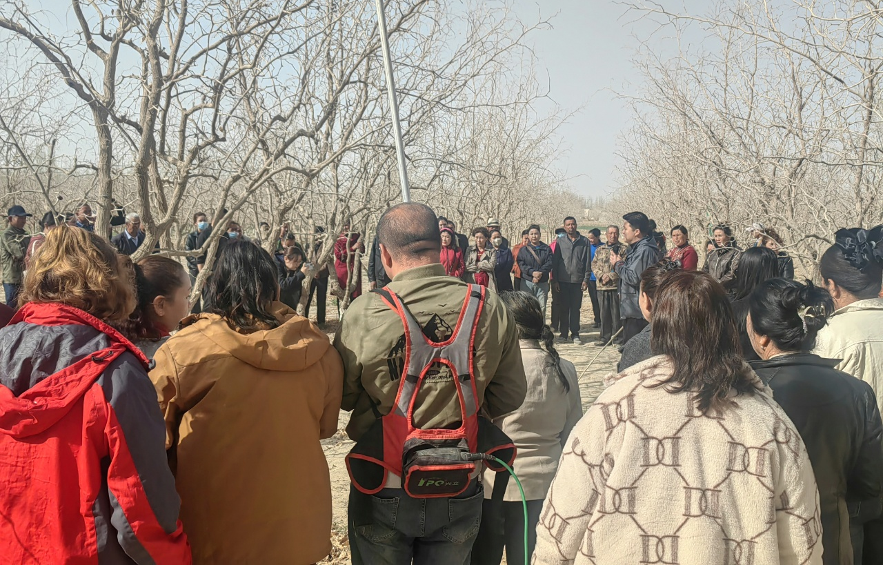 mmexport1775963846839